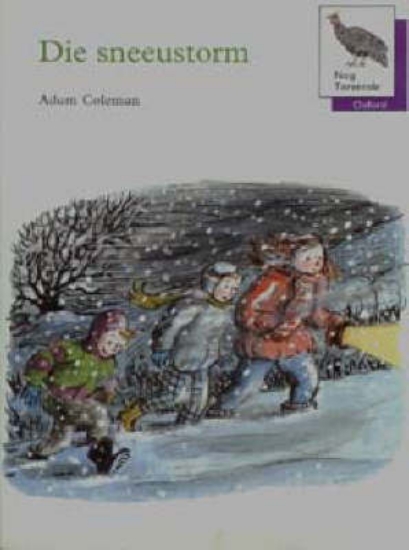 Picture of Die sneeustorm