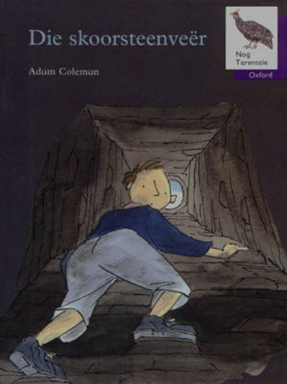 Picture of Die skoorsteenveër