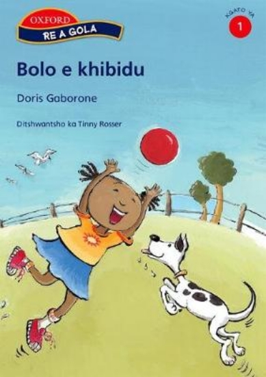 Picture of Bolo e khibidu