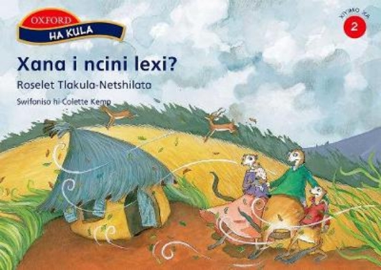 Picture of Xana i ncini lexi?