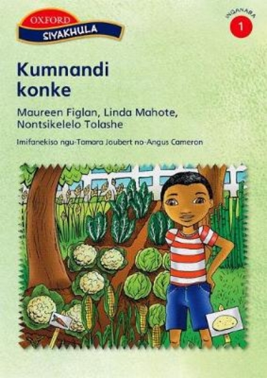 Picture of Kumnandi konke