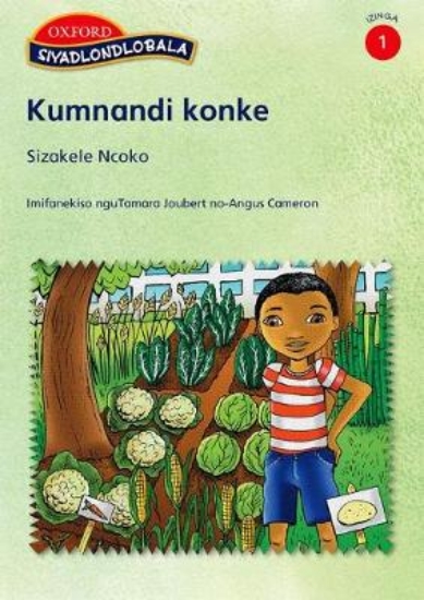 Picture of Kumnandi konke