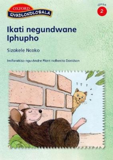 Picture of Ikati negundwane Iphupho