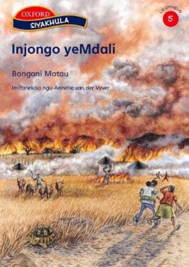 Picture of Injongo yeMdali