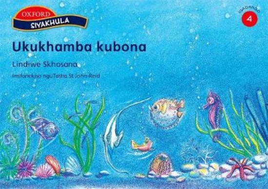 Picture of Ukukhamba kubona