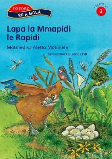 Picture of Lapa la Mmapidi le Rapidi