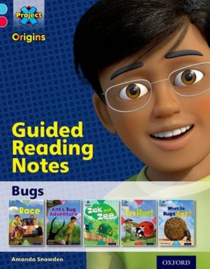 Picture of Bugs Level 4 Guided Reading Notes