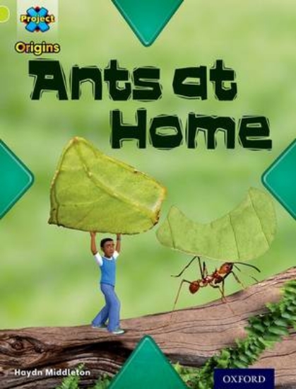 Picture of Underground Level 11: Ants at Home