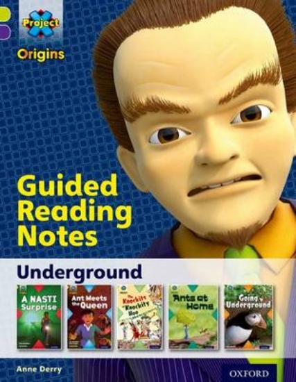 Picture of Underground Level 11 Guided Reading Notes