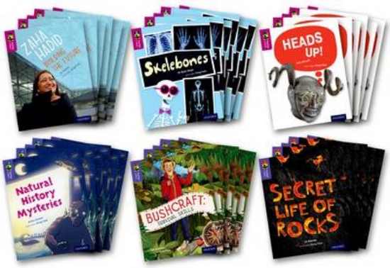 Picture of TreeTops inFact Level 10/11 Class Pack of 36