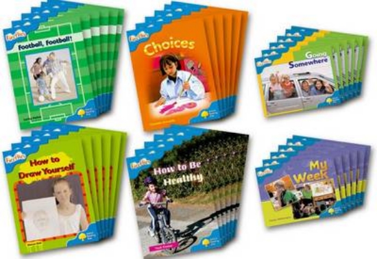 Picture of Fireflies Non-fiction Level 3 Class Pack of 36