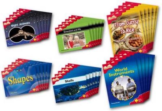 Picture of Fireflies Non-fiction Level 4 Class Pack of 36