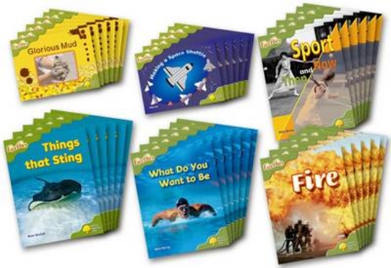 Picture of Fireflies Non-fiction Level 7 Class Pack of 36