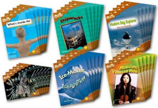 Picture of Fireflies Non-fiction Level 8 Class Pack of 36