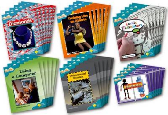Picture of Fireflies Non-fiction Level 9 Class Pack of 36