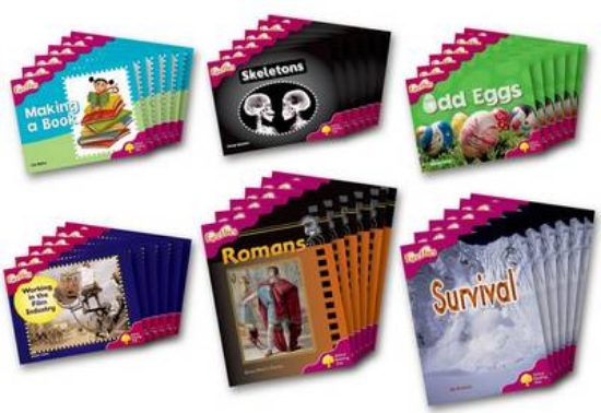 Picture of Fireflies Non-fiction Level 10 Class Pack of 36
