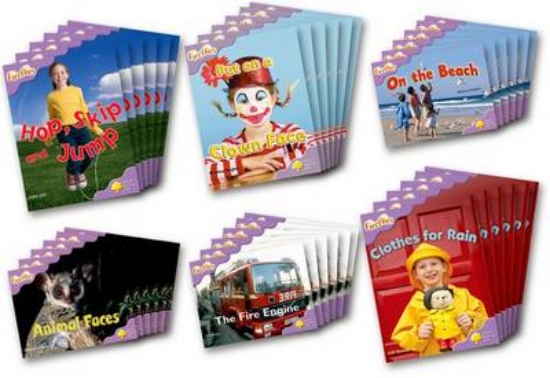 Picture of Fireflies Non-fiction More Level 1+ Class Pack of