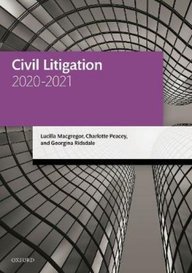 Picture of Civil Litigation 2020-2021