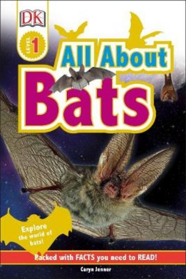 Picture of All About Bats Hb