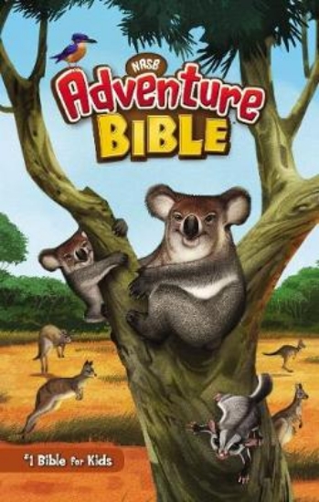 Picture of NASB, Adventure Bible, Hardcover, Full Color Inter