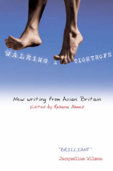 Picture of Walking A Tightrope