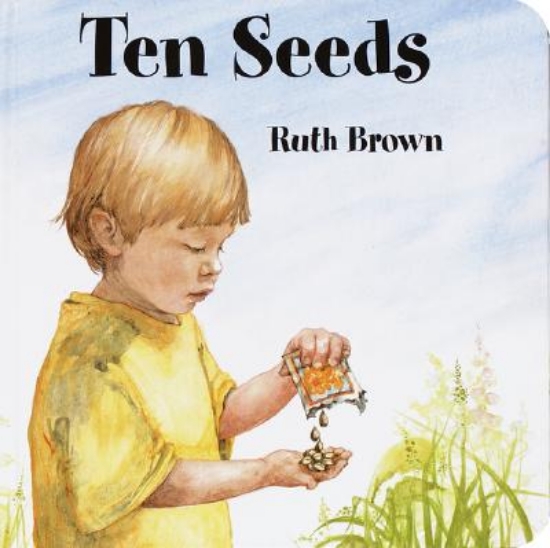 Picture of Ten Seeds