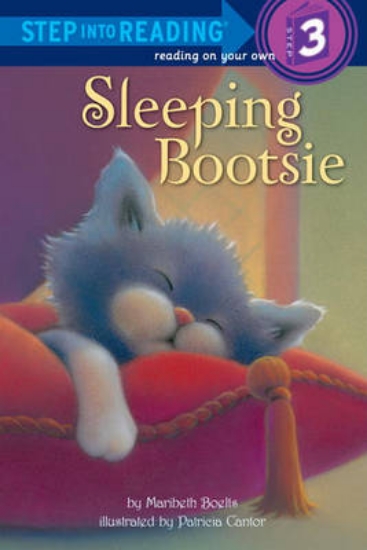 Picture of Sleeping Bootsie