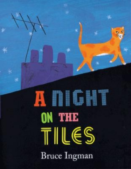 Picture of A Night on the Tiles