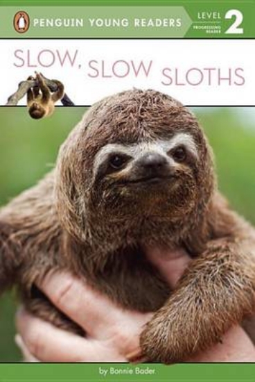 Picture of Slow, Slow Sloths