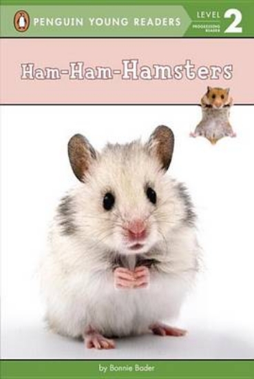 Picture of Ham-Ham-Hamsters