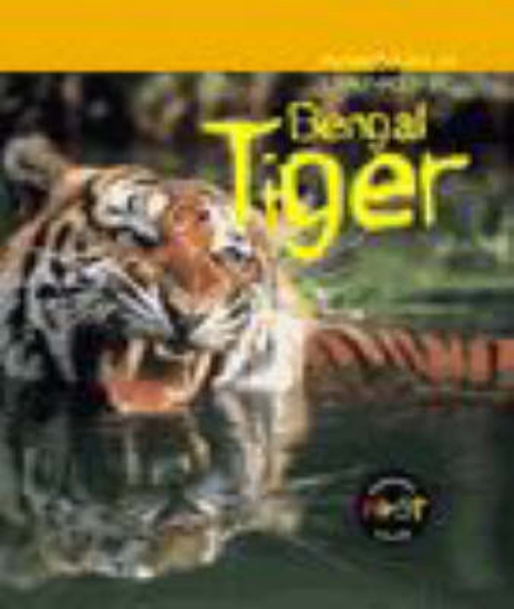 Picture of Bengal Tiger