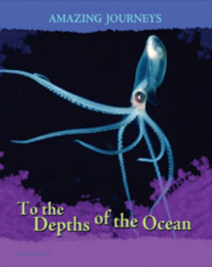 Picture of To the Depths of the Ocean