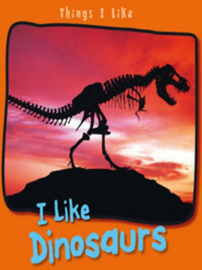 Picture of I Like Dinosaurs