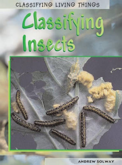 Picture of Classifying Insects