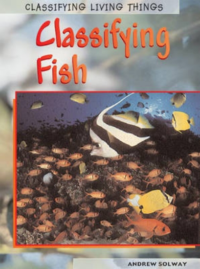 Picture of Classifying Fish
