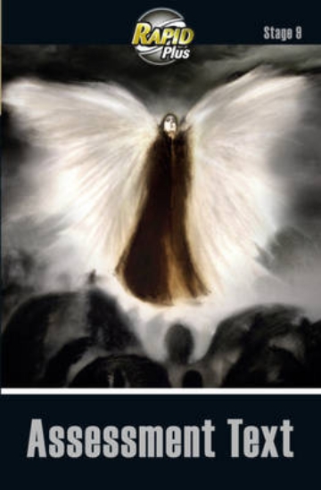 Picture of RapidPlus Assessment Book Stage 9