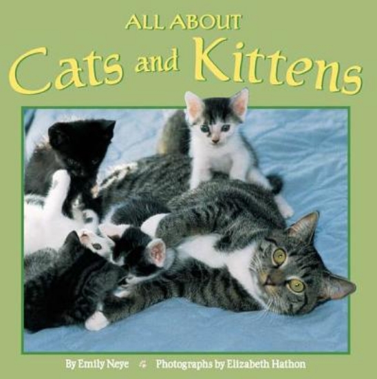 Picture of All about Cats and Kittens
