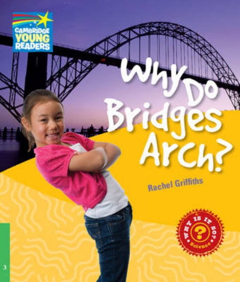 Picture of Why Do Bridges Arch? Level 3