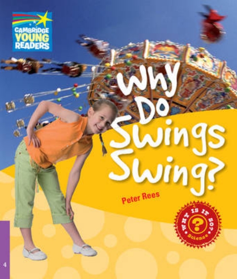 Picture of Why Do Swings Swing? Level 4