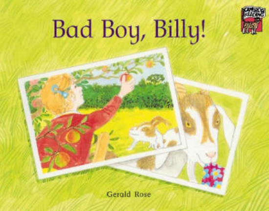 Picture of Bad Boy, Billy!