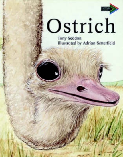 Picture of Ostrich South African edition