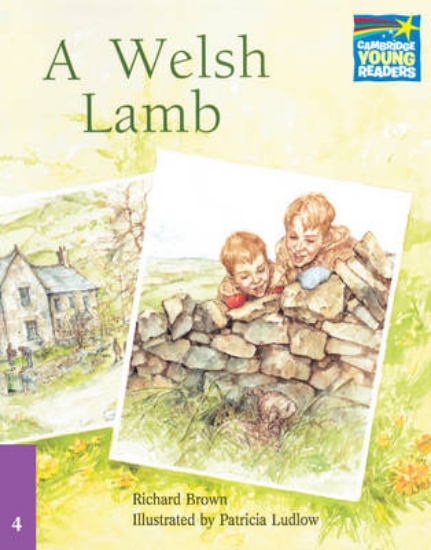 Picture of A Welsh Lamb ELT Edition
