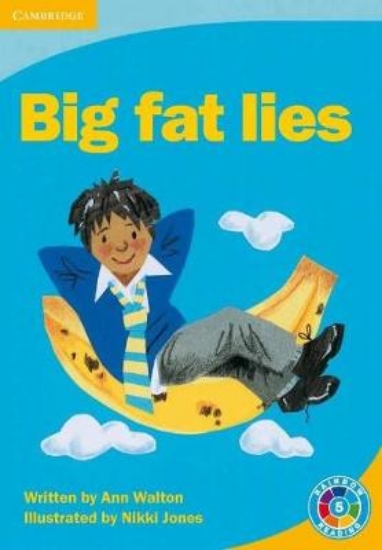 Picture of Big Fat Lies