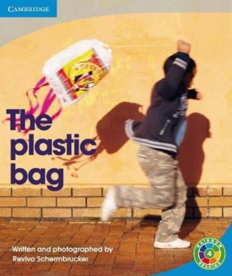 Picture of The Plastic Bag