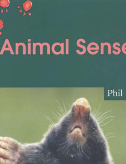 Picture of Animal Senses Big Book