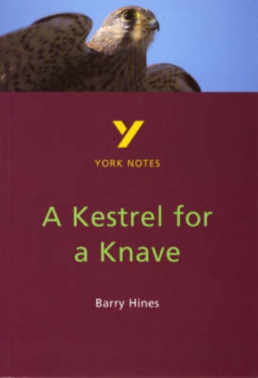 Picture of A Kestrel for a Knave