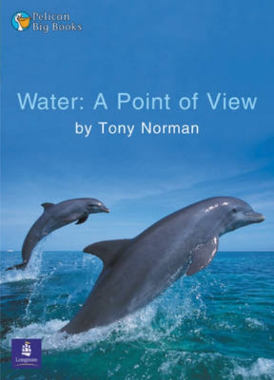 Picture of Water: A Point of View Key Stage 2