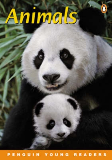 Picture of Animals Book/Cassette Pack