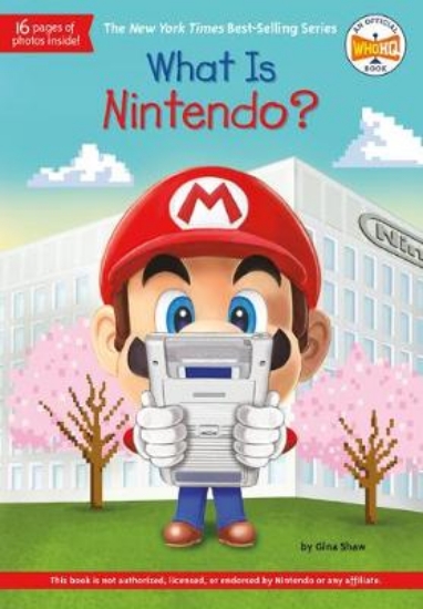 Picture of What Is Nintendo