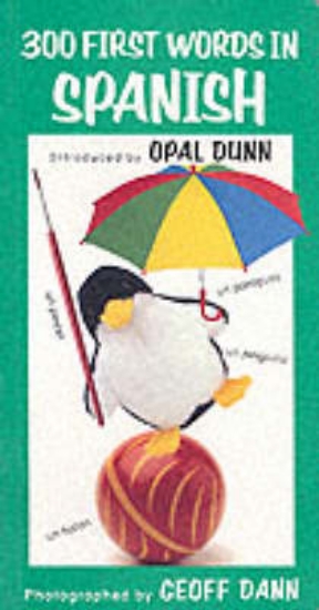 Picture of 300 First Words in Spanish